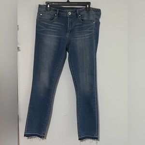 Articles Of Society Blue Skinny Jeans